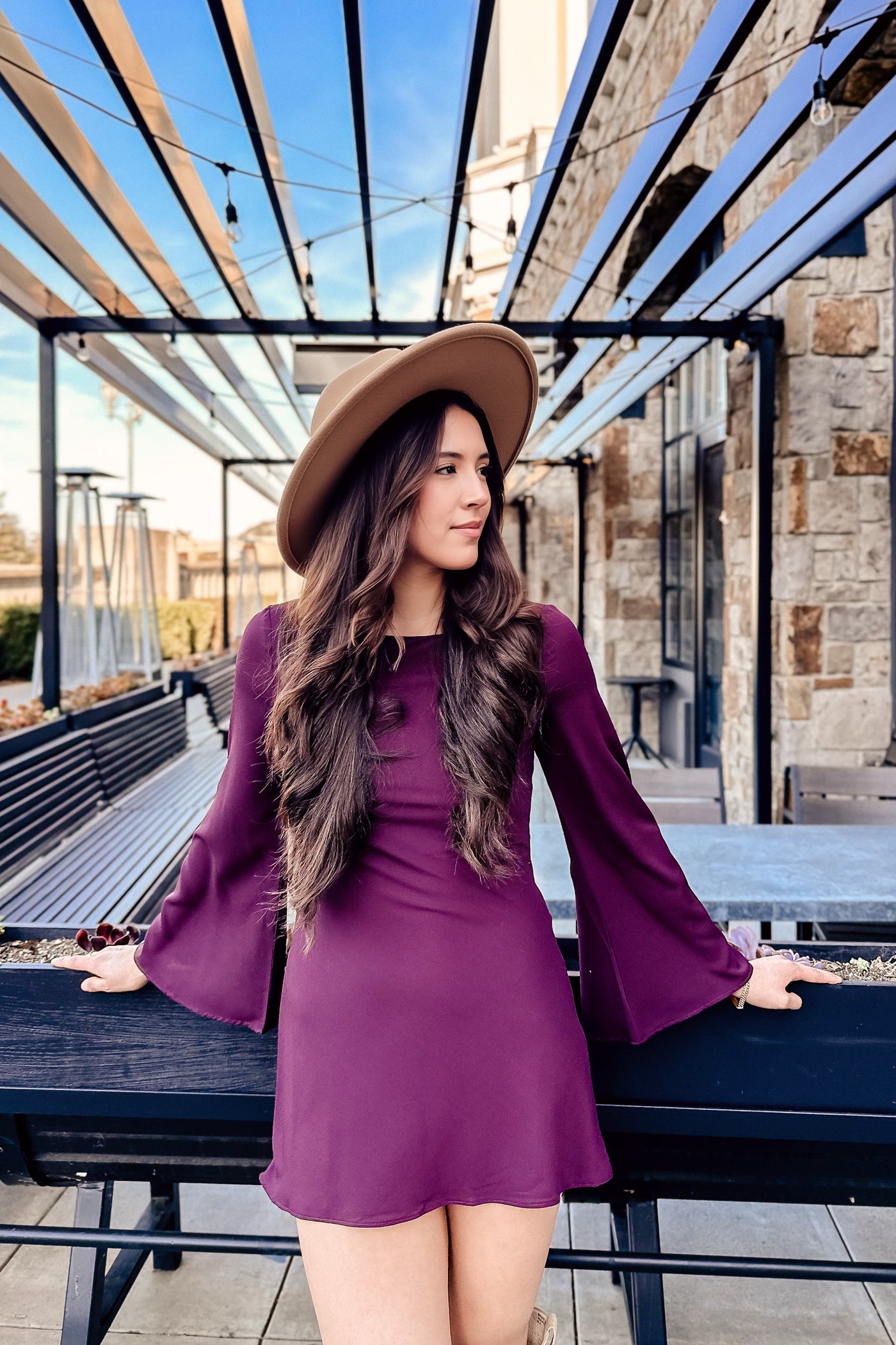The Belle du Jour Wine Mini Dress