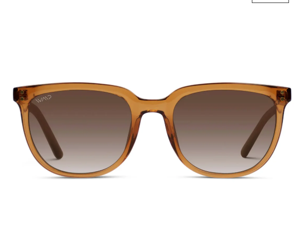 Abner Polarized Square Sunglasses by WMP Eyewear