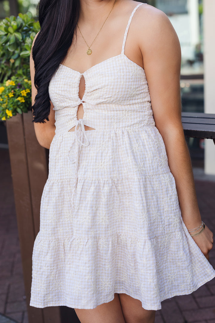 The Spring In My Step Embroidered Gingham Mini Dress