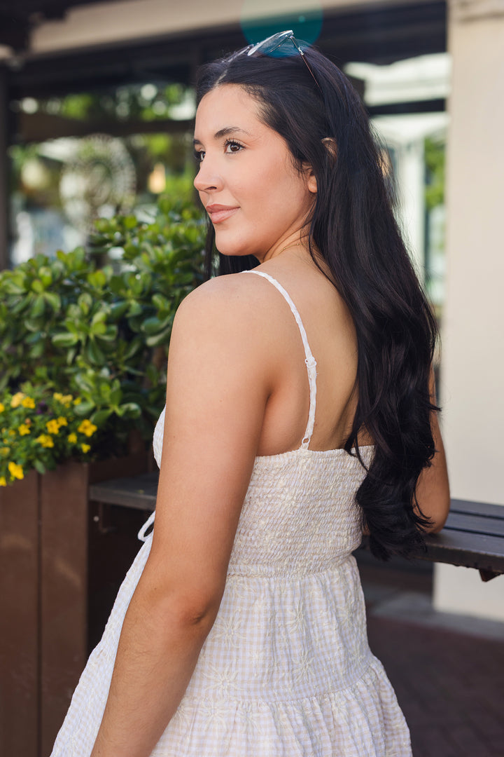 The Spring In My Step Embroidered Gingham Mini Dress