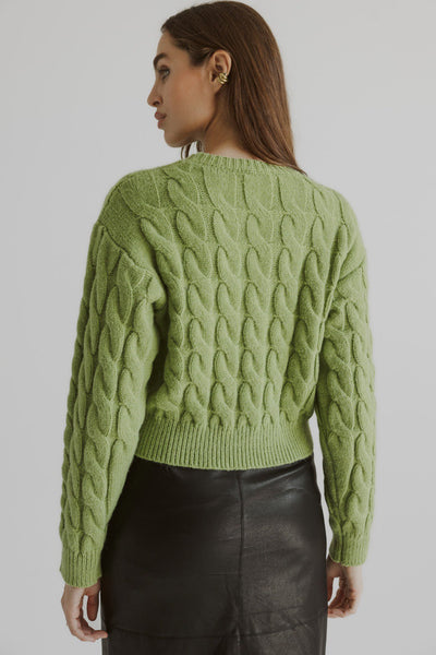 The Becks Apple Green Textured Sweater